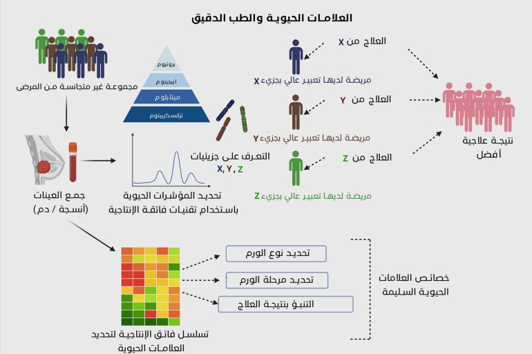 المؤشرات الحيوية والطب الدقيق في علاج سرطان الثدي، علاجات سرطان الثدي (المصدر: معهد قطر لبحوث الطب الحيوي، جامعة حمد بن خليفة في قطر) إنفوغراف