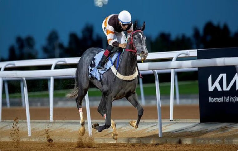 ميدان الملك عبدالعزيز للفروسية يشهد منافسات الأسبوع السابع