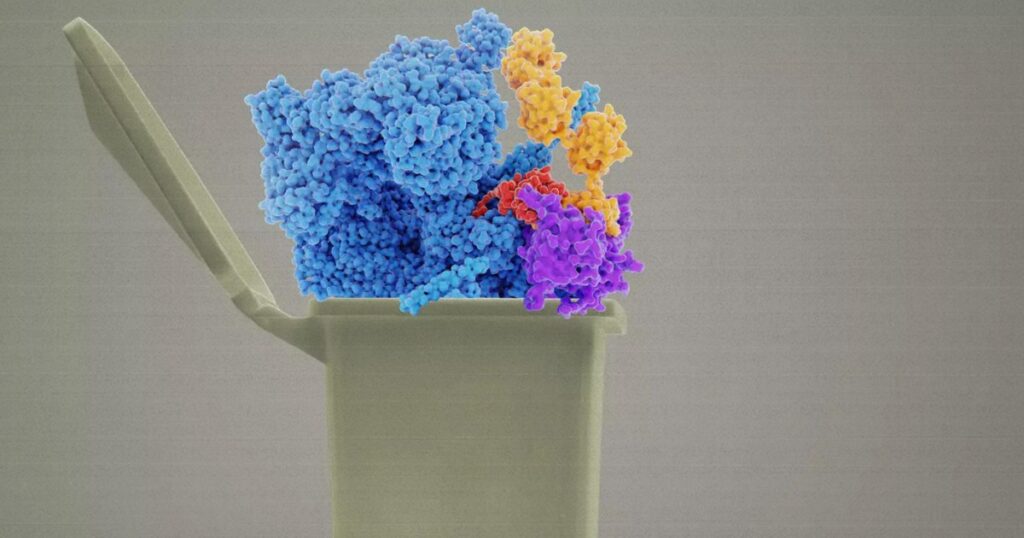 مكافحة “الشغب البروتيني” بقوة إضافية يمهد لأدوية جديدة