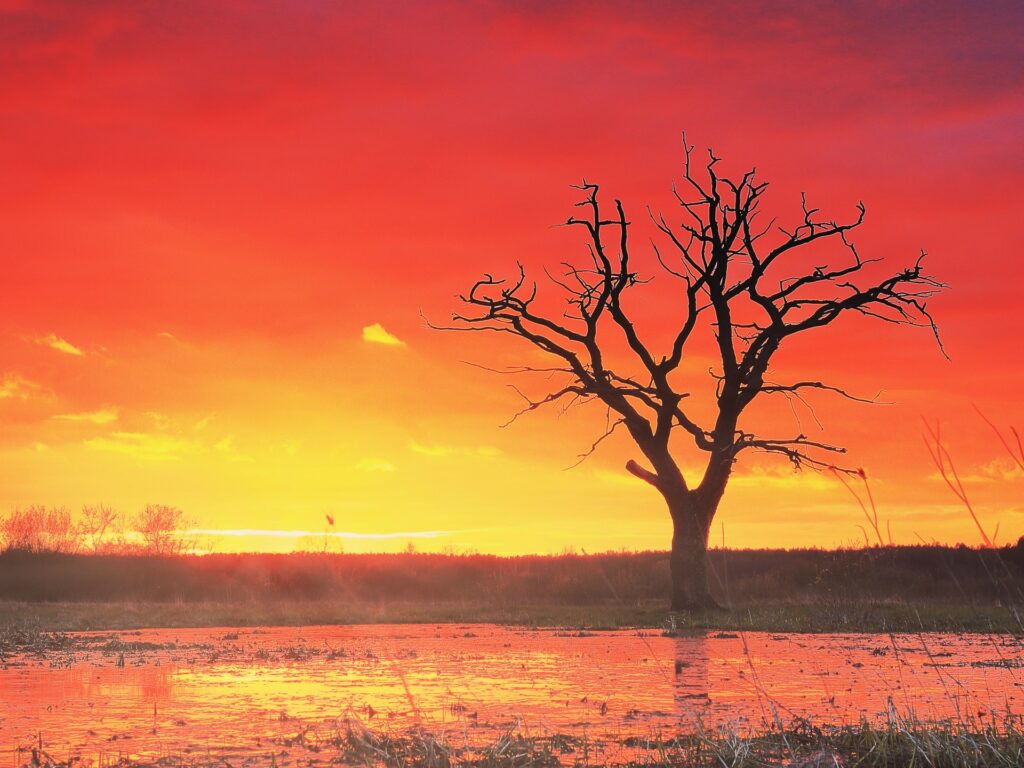 2024.. قد تكون الأشد حرارة في التاريخ البشري