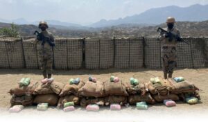 حرس الحدود بجازان يحبط تهريب 240 كيلوجرامًا من نبات القات