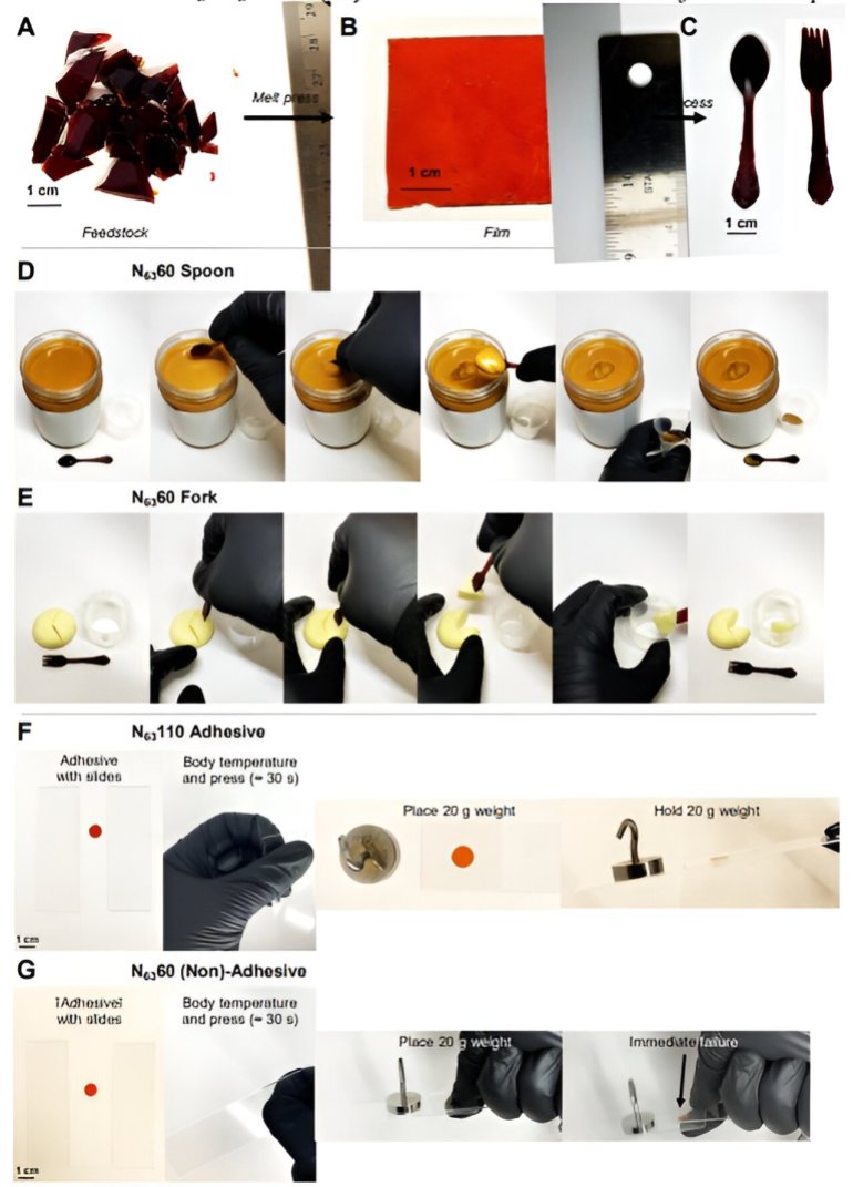 عرض توضيحي يوضح الاستخدامات المختلفة للبلاستيك (دورية ساينس)