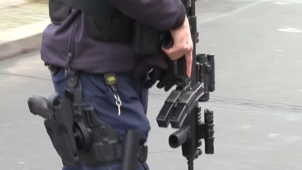 ألمانيا: القبض على اثنين من أعضاء “فصيل الجيش الأحمر” الملاحق منذ التسعينيات