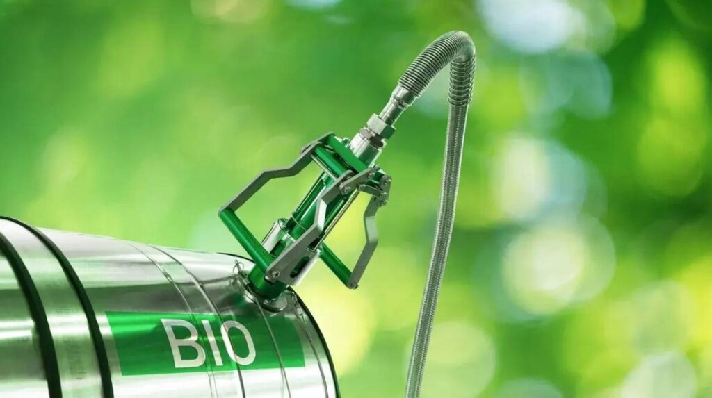 الإمارات نحو الريادة في الاستدامة وحماية البيئة