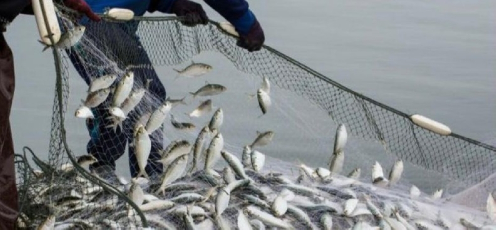 «البيئة» تستثني الصيادين ذوي الدخل المحدود من شروط الحصول على رخص ممارسة الصيد