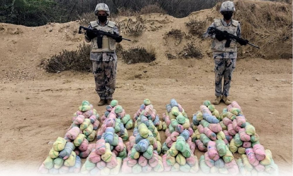 جازان: إحباط تهريب 151 كيلوغرام «قات»