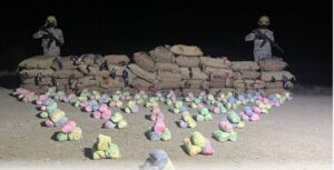 «حرس الحدود» بعسير يحبط تهريب 945 كيلوغرام «قات»