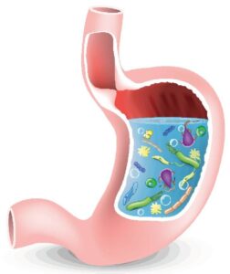 أنت مصاب ببكتيريا المعدة الحلزونية!