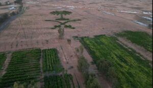 دعمًا لمبادرة «السعودية الخضراء».. مواطن يزيد المسطحات الخضراء والتنوع النباتي في مزرعته برفحاء