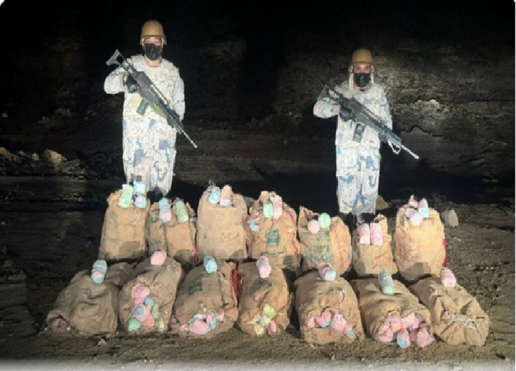 حرس الحدود بجازان يحبط تهريب 151 كيلوجراماً من نبات القات المخدر