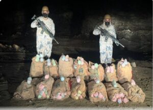 حرس الحدود بجازان يحبط تهريب 151 كيلوجراماً من نبات القات المخدر