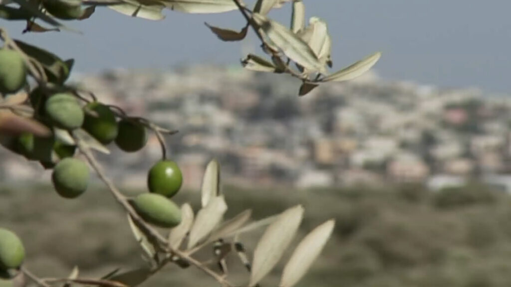 الفلسطينيون يحيون يوم الأرض وإسرائيل تواصل الاستيلاء عليها