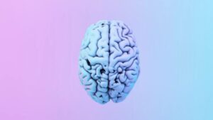 دراسة: أدمغة الأجيال الجديدة أكبر حجماً ما يقلل خطر الإصابة بالخرف