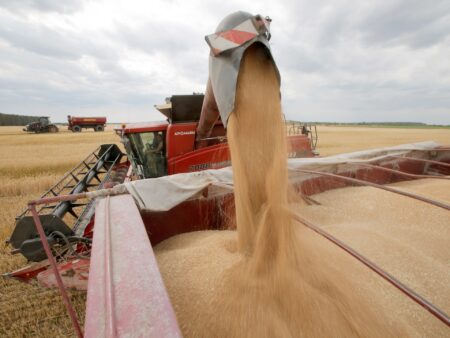 أسعار الغذاء العالمية تواصل التراجع مع وفرة المعروض