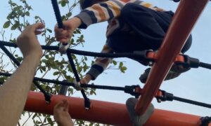 «حدائق المناطق».. تستقطب المتنزهين