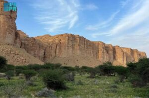 غداً.. انطلاق فعاليات منتدى المحميات الطبيعية «حِمى» بمشاركة محلية ودولية