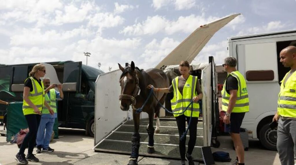 وصول 60 جوادًا للمشاركة في بطولة كأس العالم لقفز الحواجز والترويض