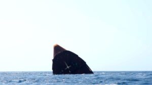 الحوثيون يعلنون مهاجمة 3 سفن ومدمرتين أميركيتين