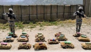 جازان: إحباط تهريب 160 كيلوغرام «قات»