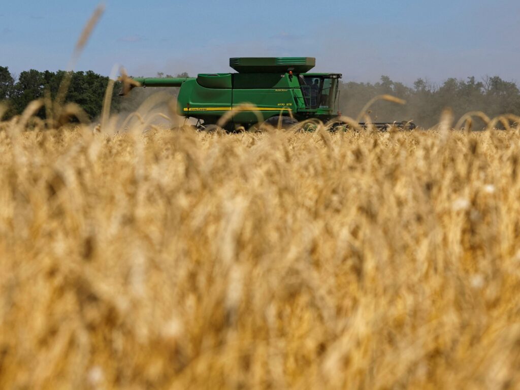 روسيا تحكم سيطرتها على سوق الحبوب مع ارتفاع أسعار القمح