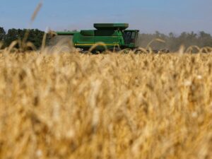 روسيا تحكم سيطرتها على سوق الحبوب مع ارتفاع أسعار القمح