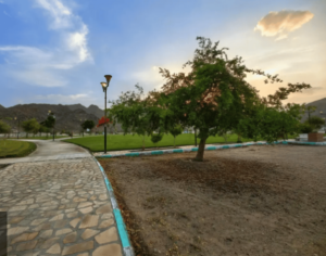 متنزه الأمير جلوي بنجران.. وجهة مفضلة لعشاق الاستمتاع بالطبيعة