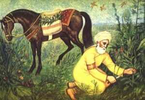 ابن البيطار.. شيخ العشّابين وصانع الأدوية النحرير