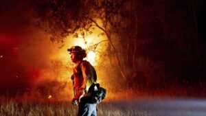 فيديو: كاليفورنيا تحترق.. مشاهد صادمة لنيران تلتهم مساحات شاسعة من الغابات