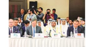 وزير الخارجية: العدوان الإسرائيلي على فلسطين ينافي القوانين الإنسانية