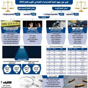 26.9 % انخفاضاً في جرائم القتل والاعتداء على النفس في 2023