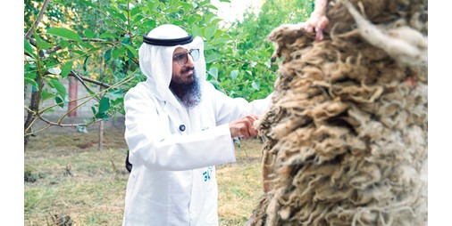 «الصفا الإنسانية» نفّذت مصرف الأضاحي داخل الكويت