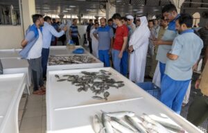 «جمعية صيادي أم القيوين» تكثف الجهود لتعزيز المخزون السمكي واستدامته