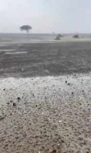 فيديو .. أمطار غزيرة ومتوسطة على الشارقة والعين