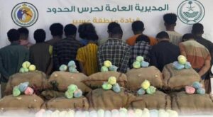 عسير: القبض على 15 مخالفاً لنظام الحدود لتهريبهم 300 كيلوغرام من نبات القات