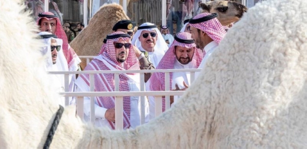 إطلاق مشروع وطني يضم أكبر مزرعة إبل في العالم بالقصيم