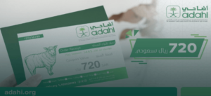 النيابة العامة: يُحظر إصدار وبيع سندات الهدي والأضاحي والفدي والصدقة الخاصة بالحجاج إلا عبر مشروع أضاحي