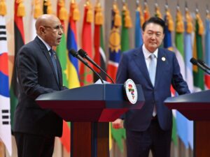 “حزام الأرز”.. هكذا تبني كوريا الجنوبية نفوذها في أفريقيا