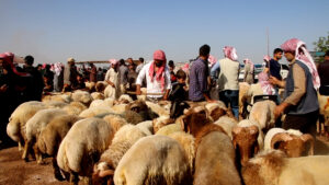 ركود في سوق الأضاحي بإدلب شمال سوريا