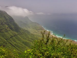 خريف ظفار.. بقعة خضراء بجو ضبابي تجذب عشاق الهدوء