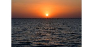 «العجيري»: الصيف ينتصف بعد غدٍ مع دخول «الجوزاء الثانية»