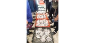 الزبيدي متوافر بكميات كبيرة وأسعار مناسبة