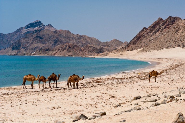 تلاقي الجبال مع المياه في أجواء مبهرة (وزارة التراث والسياحة)