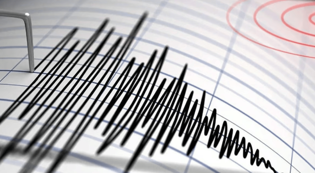 المساحة الجيولوجية ترصد زلزالا وسط البحر الأحمر