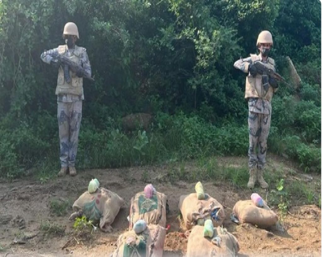 حرس الحدود بعسير يحبط تهريب 760 كيلوجرامًا من القات المخدر