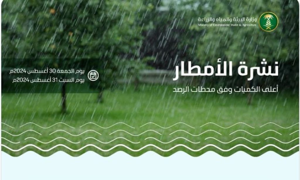 المدينة المنورة الأعلى كمية بـ37.4 ملم.. البيئة ترصد هطول أمطار في 8 مناطق خلال 24 ساعة