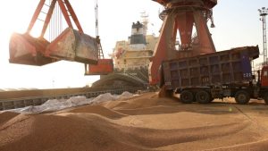 لماذا تتوسع الصين في تخزين مزيد من السلع الغذائية والإستراتيجية؟