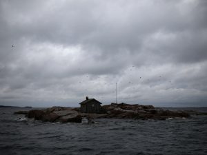 التايمز: هل تعيد فنلندا تسليح جزر أولاند لمواجهة روسيا؟