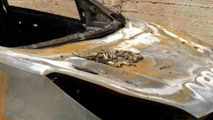 استشهاد 3 فلسطينيين في عدوان إسرائيلي على بلدة الزبابدة بجنين