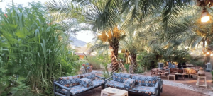 المزارع الريفية.. وجهة سياحية مزجت الجمال الطبيعي والتراث في حائل