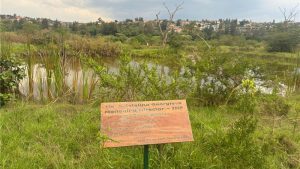 رواندا.. نموذج أفريقي للاقتصاد الأخضر